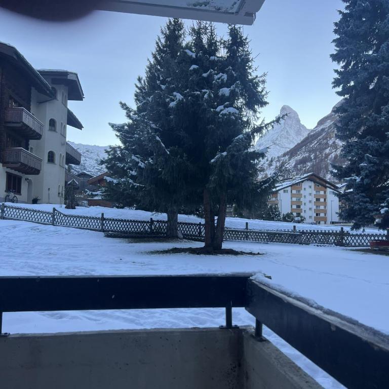 Cosy Modern Alpine Residence - Apartamento de 1 dormitorio - 22
