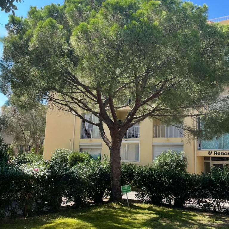 Studio Paradis à Calvi Parking privé en option - GR20 Télétravail - Estudio con balcón - 7