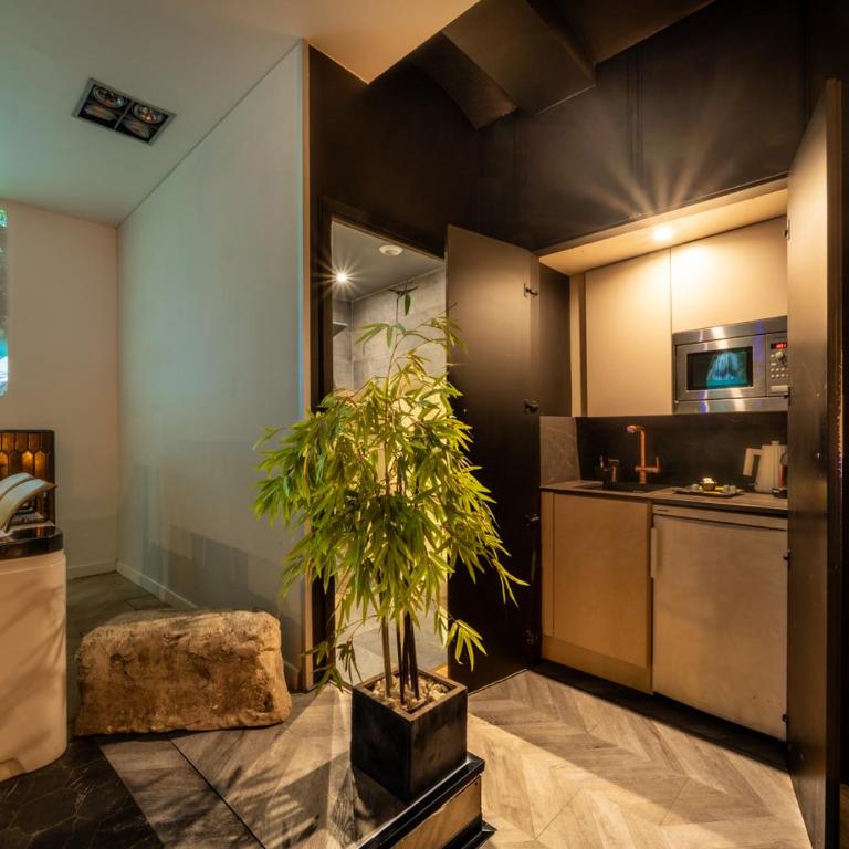 Suite avec jacuzzi privé Nîmes Idéal seul ou couple - Spa Maison Carré - One-Bedroom Apartment - 8