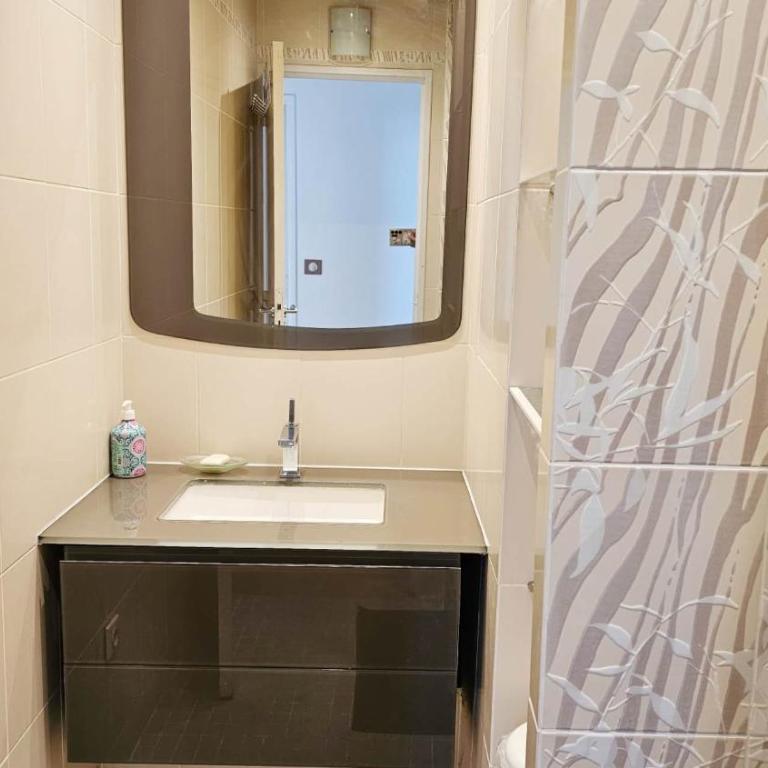 Beautiful&big apt for 8persons parking free - Appartement 3 Chambres - 4