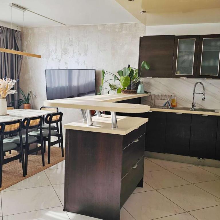Beautiful&big apt for 8persons parking free - Appartement 3 Chambres - 12