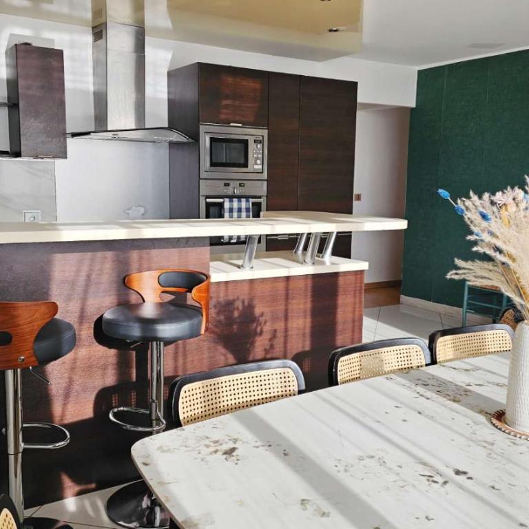 Beautiful&big apt for 8persons parking free - Appartement 3 Chambres - 25