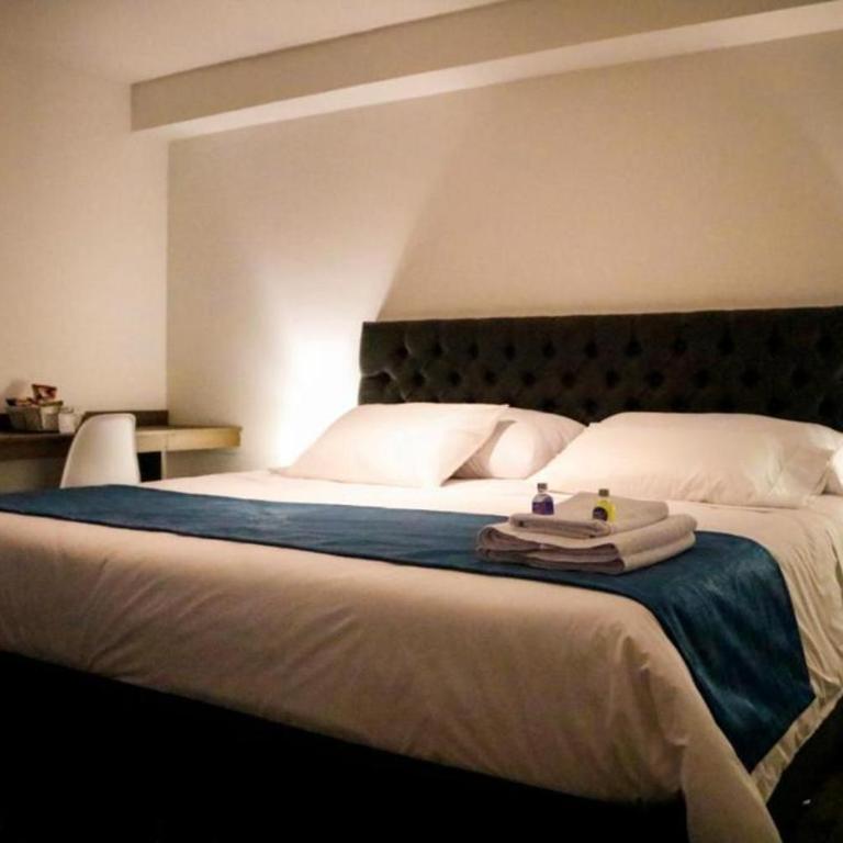 HOTEL ZARCILLEJO - Habitación Deluxe - 1 cama grande - 1