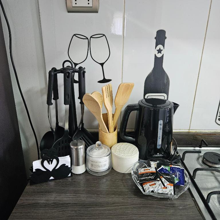 Depto 3D y 3B Chillán - Apartment - 10