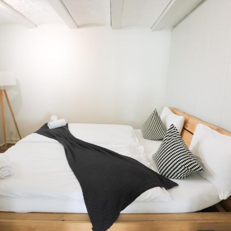 Brand New, 5min to Ski PARADISE ! - Apartment - 16