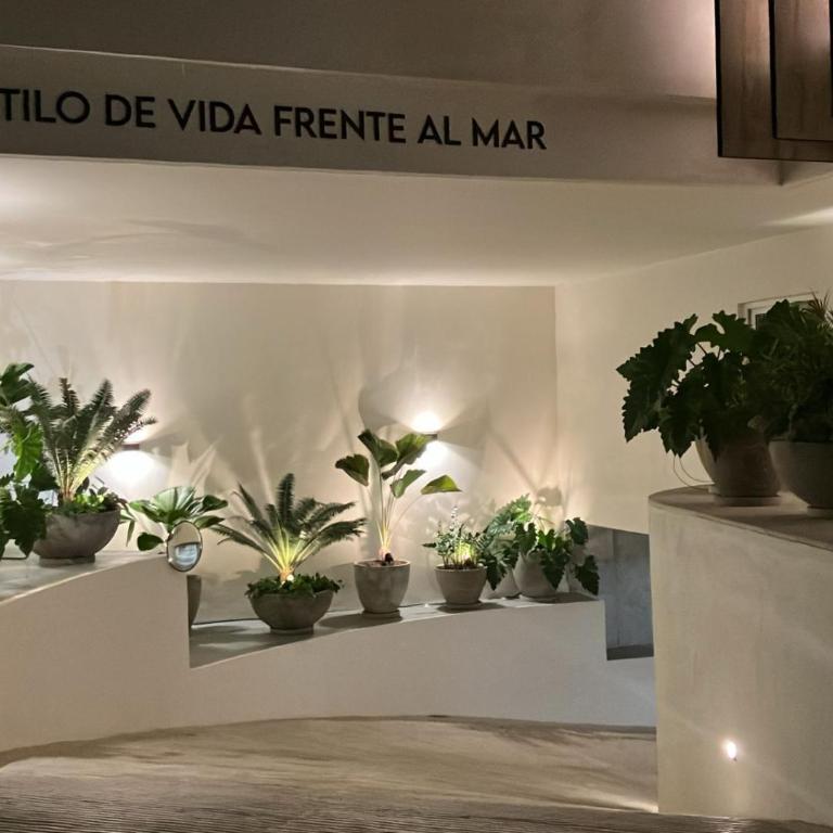 Casa Cielo V-Bucerias - Apartamento de 2 dormitorios - 16