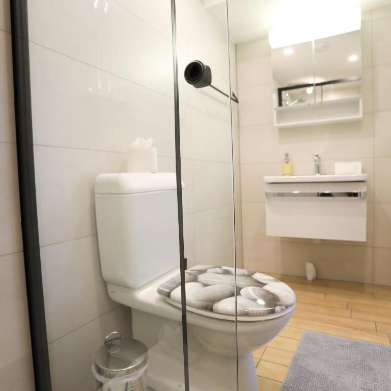 Brand New, 5min to Ski PARADISE ! - Apartment - 18
