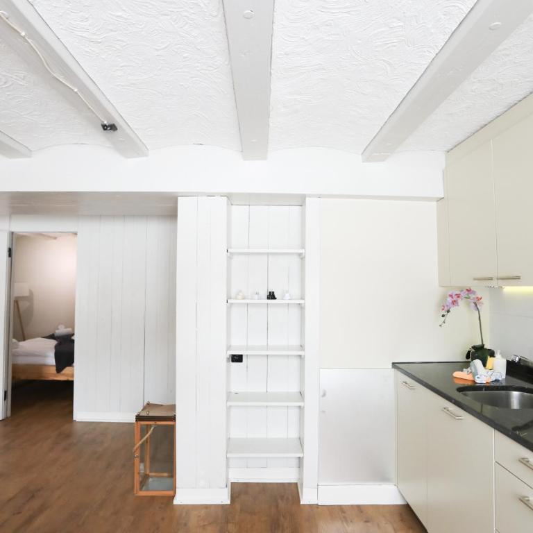 Brand New, 5min to Ski PARADISE ! - Apartment - 9