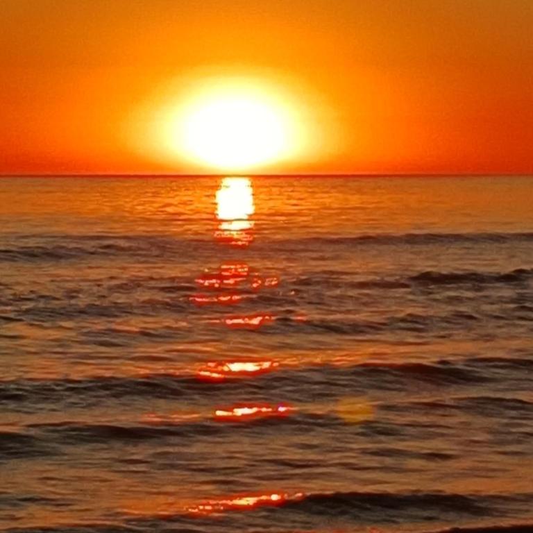 Cuchilla Alta, un paraíso - One-Bedroom Apartment - 9