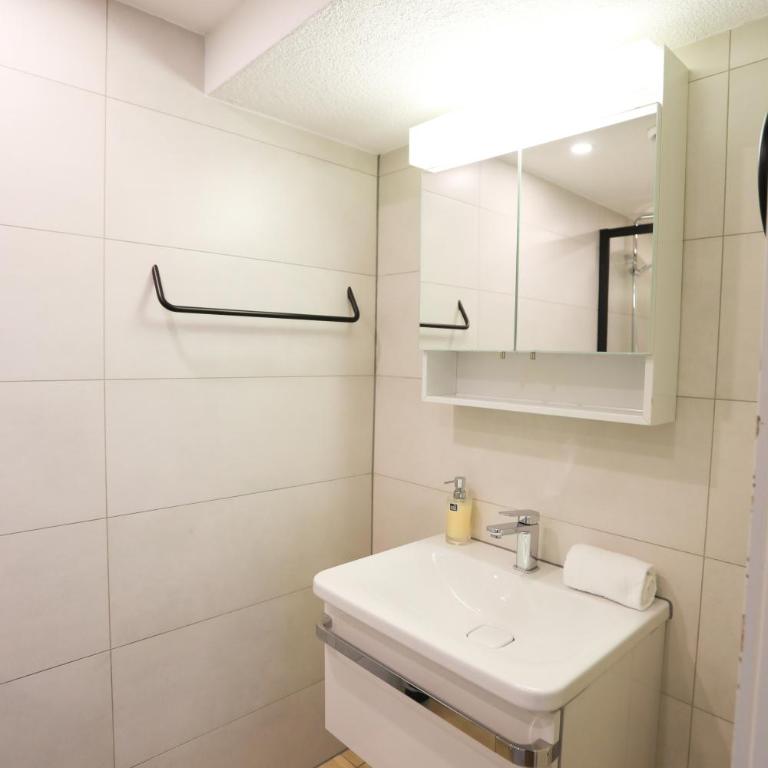 Brand New, 5min to Ski PARADISE ! - Apartment - 19