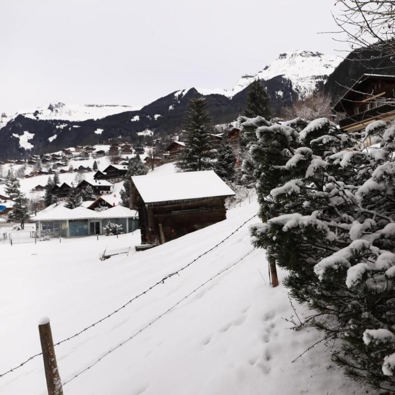 Brand New, 5min to Ski PARADISE ! - Apartment - 29