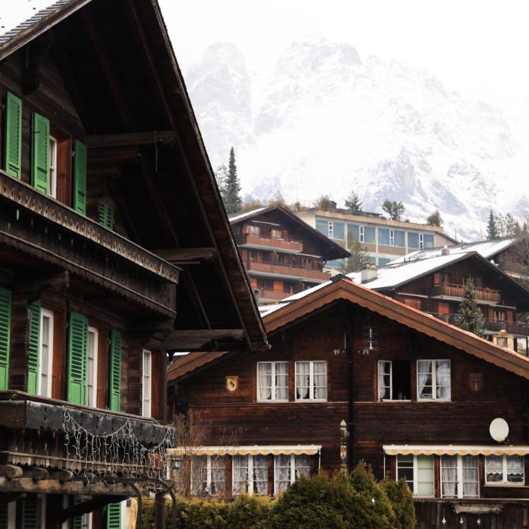 Brand New, 5min to Ski PARADISE ! - Apartment - 27