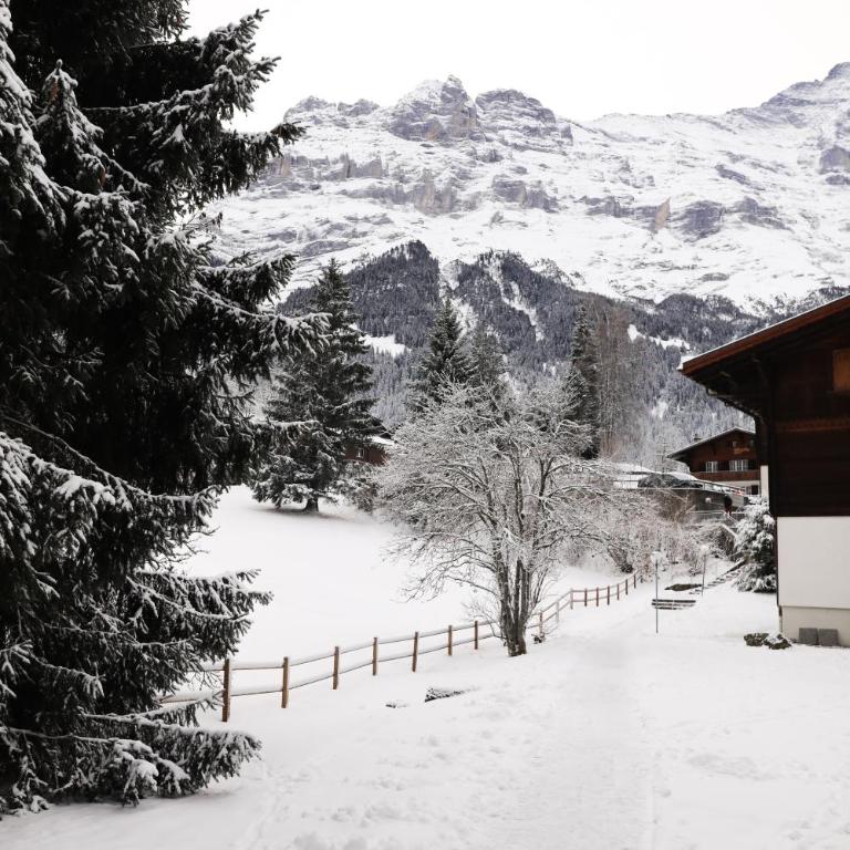 Brand New, 5min to Ski PARADISE ! - Apartment - 28
