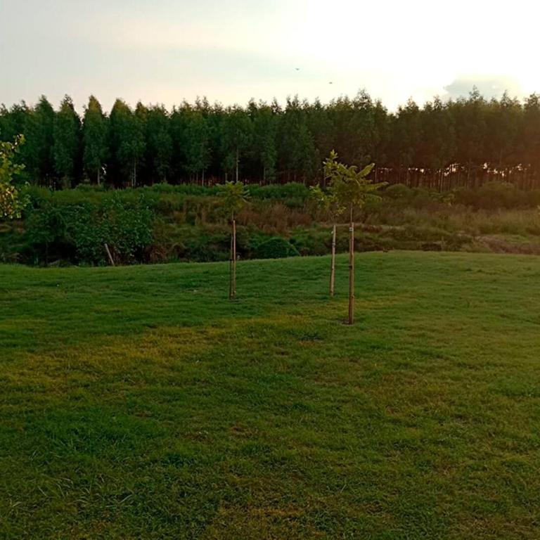 Villa Pancha - Alojamiento Rural en Concepción del Uruguay - Casa - 16