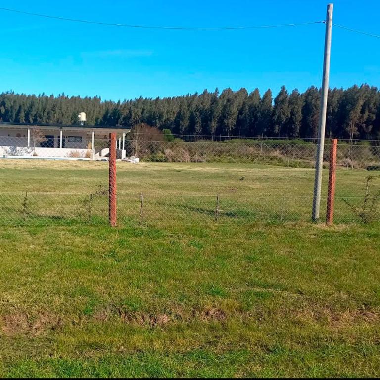 Villa Pancha - Alojamiento Rural en Concepción del Uruguay - Casa - 5