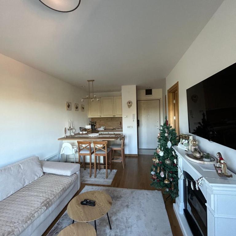 Rustic - One-Bedroom Apartment - 2