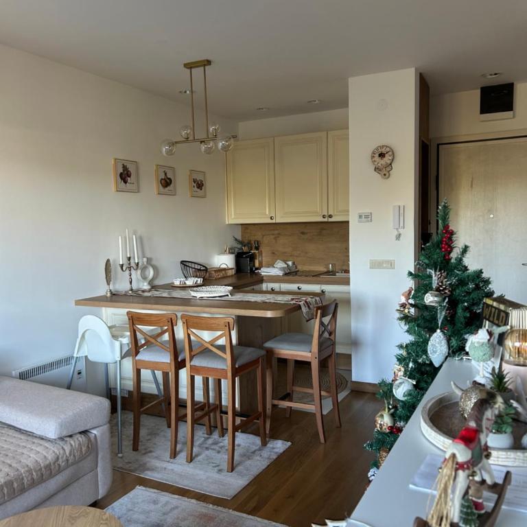 Rustic - One-Bedroom Apartment - 7