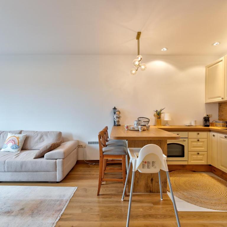 Rustic - One-Bedroom Apartment - 21