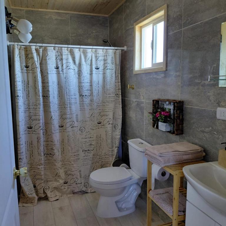 Tiny House 4 Aeropuerto el Tepual - One-Bedroom Apartment - 7