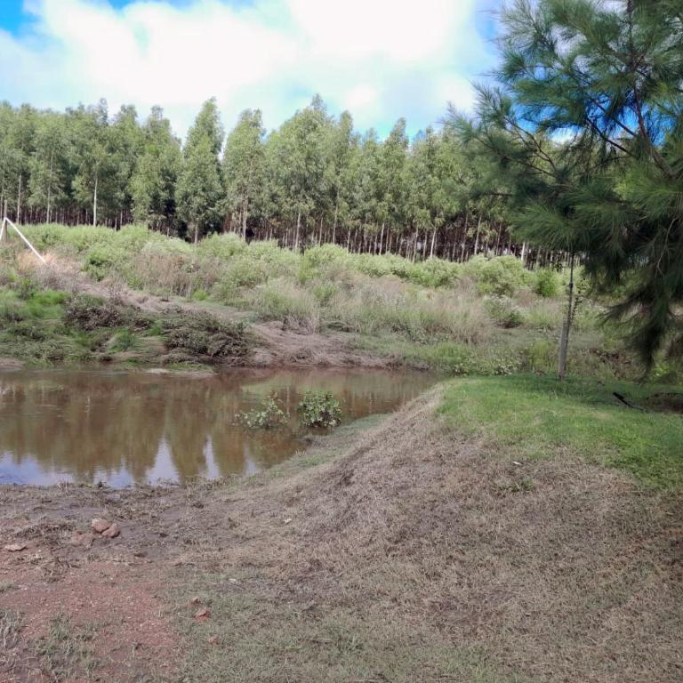 Villa Pancha - Alojamiento Rural en Concepción del Uruguay - Casa - 28