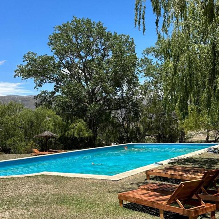 Cabaña El Molle - Los Nogales - Bungalow - 2