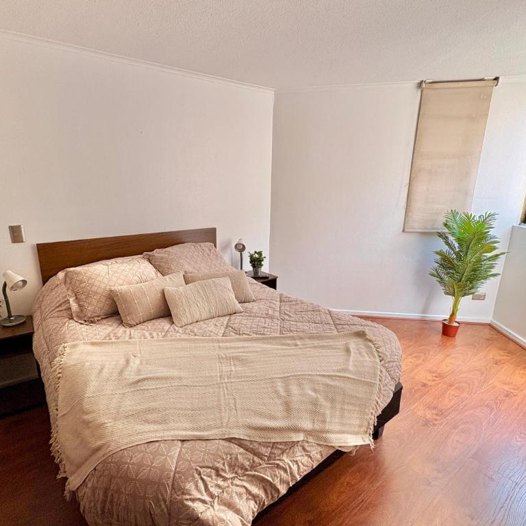 Apartamento a pasos del Metro y Museo Bellas Artes, Cerro Santa Lucia, Barrio Lastarria - One-Bedroom Apartment - 2