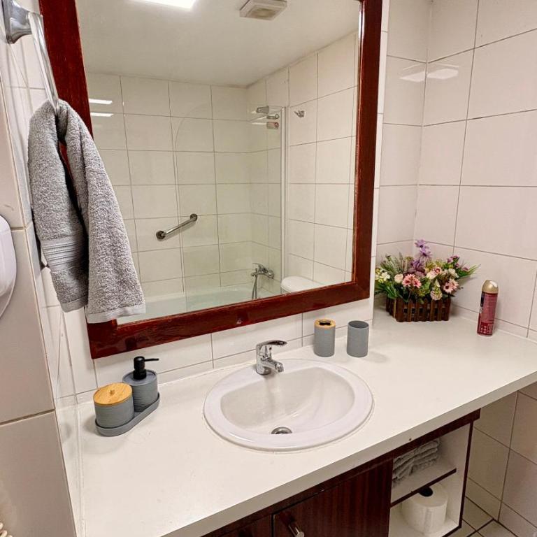 Apartamento a pasos del Metro y Museo Bellas Artes, Cerro Santa Lucia, Barrio Lastarria - One-Bedroom Apartment - 4