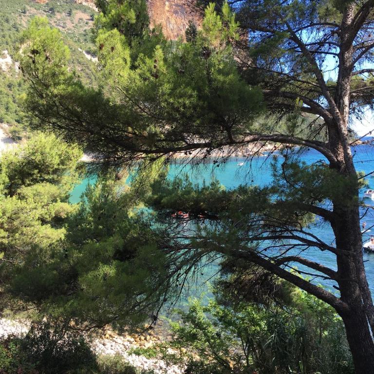Appartement Cassis Plage - Appartement - Vue sur Mer - 1