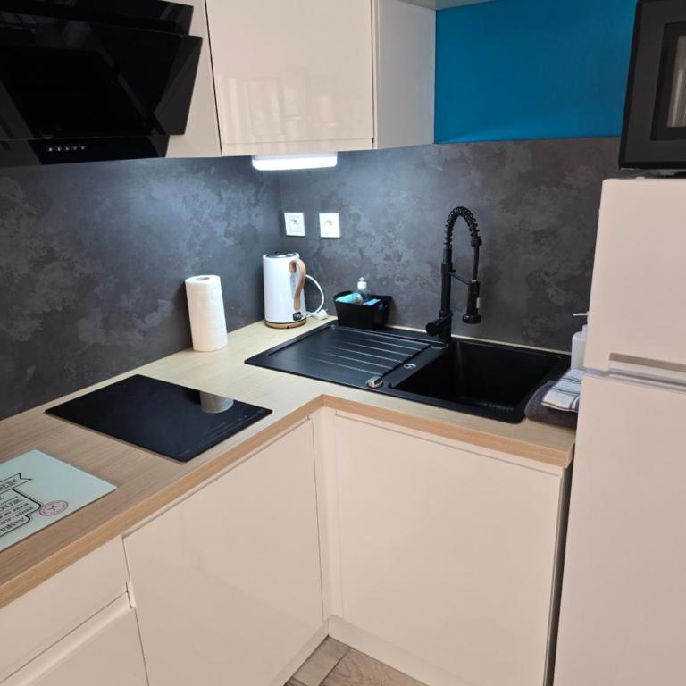 Studio climatisé 50 m.du port - One-Bedroom Apartment - 4