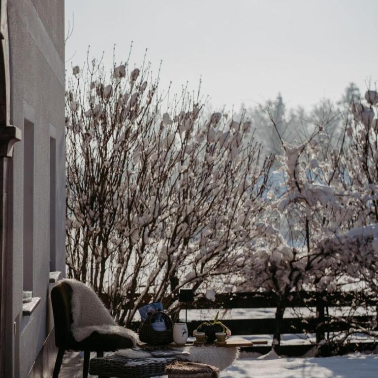 Chalet Wiesengut all famous ski areas around us, 10 min to salzburg, mountainview - Haus mit 5 Schlafzimmern - 87