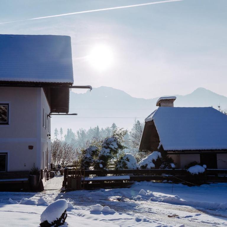 Chalet Wiesengut all famous ski areas around us, 10 min to salzburg, mountainview - Haus mit 5 Schlafzimmern - 92