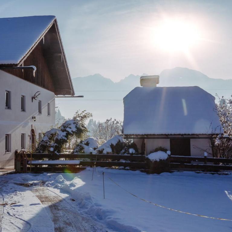 Chalet Wiesengut all famous ski areas around us, 10 min to salzburg, mountainview - Haus mit 5 Schlafzimmern - 95