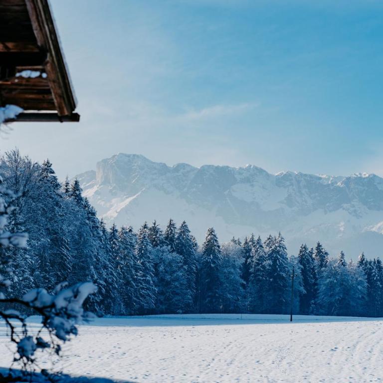 Chalet Wiesengut all famous ski areas around us, 10 min to salzburg, mountainview - Haus mit 5 Schlafzimmern - 100