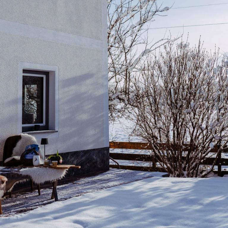 Chalet Wiesengut all famous ski areas around us, 10 min to salzburg, mountainview - Haus mit 5 Schlafzimmern - 22