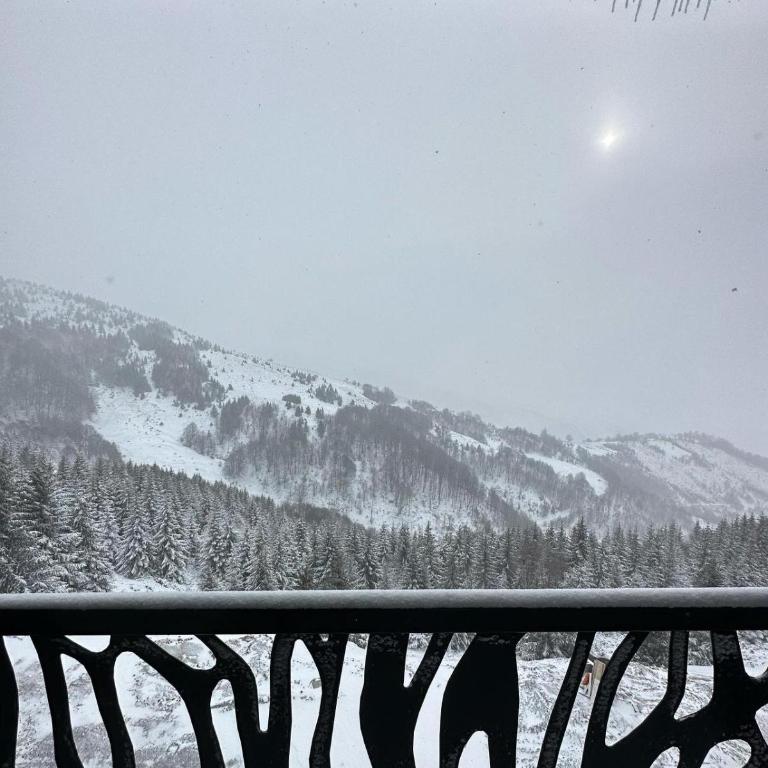 Vila Golija Sky View Kopaonik - Apartman sa 1 Spavaćom Sobom - 1