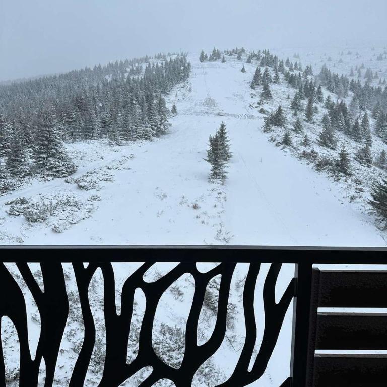 Vila Golija Sky View Kopaonik - One-Bedroom Apartment - 3