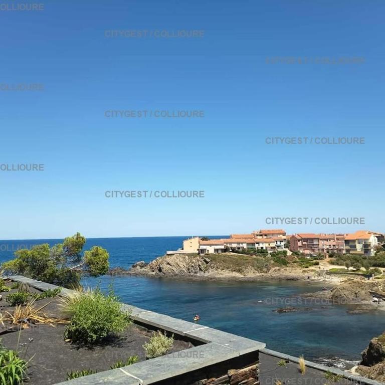 4ARAP04 - appartement standing vue mer - Appartamento con 1 Camera da Letto, Vista Mare e Terrazza - 2