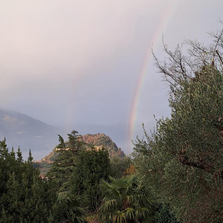 Villa Primula - Appartamento con Vasca Idromassaggio e Vista Lago - 85