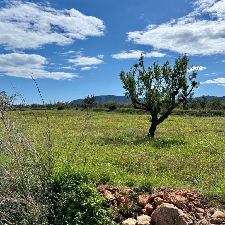 Casa Boletes, with splendid views! - Casa con 1 dormitorio - 21