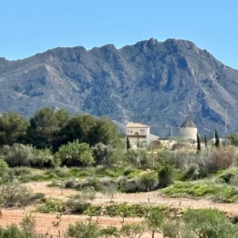 Casa Boletes, with splendid views! - Casa con 1 dormitorio - 22