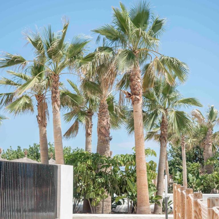 Villa Romana Denia - direct aan zee - incl prive parkeerplaats in parkeergarage! - Apartamento Deluxe de 2 dormitorios con vistas al mar - 46