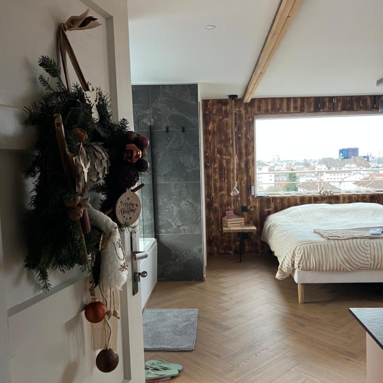 Chalet sur le toit de Strasbourg SPA Cinéma - Apartamento de 1 dormitorio - 11