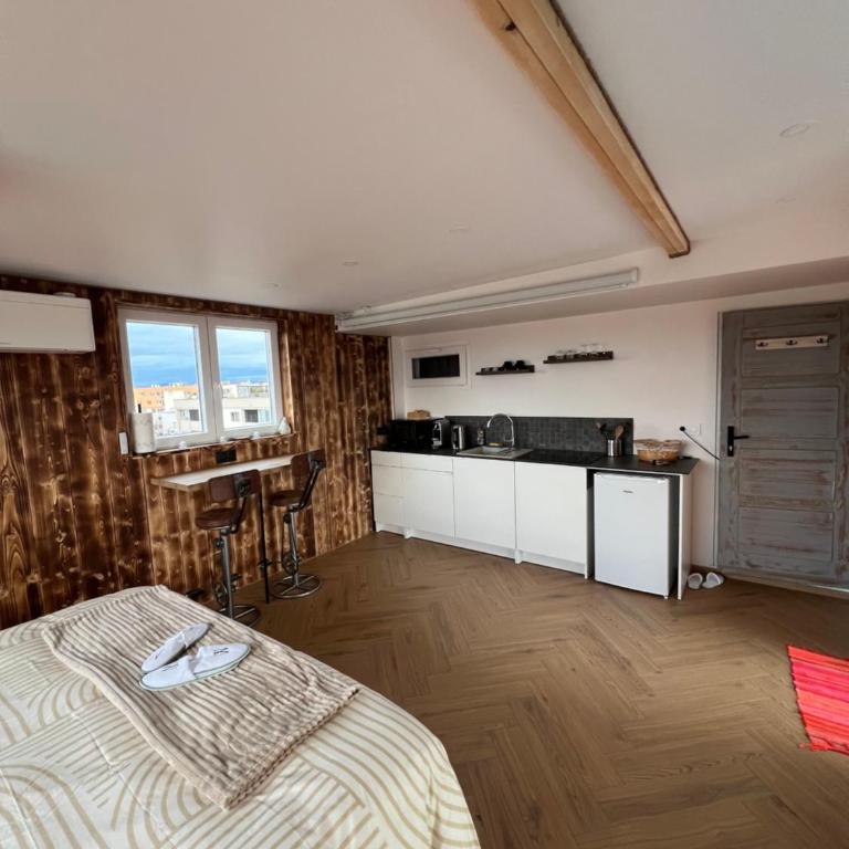 Chalet sur le toit de Strasbourg SPA Cinéma - Apartamento de 1 dormitorio - 5