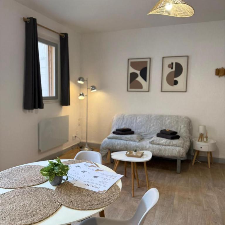 Studio au cœur de Lourdes - Monolocale con Divano-Letto - 3