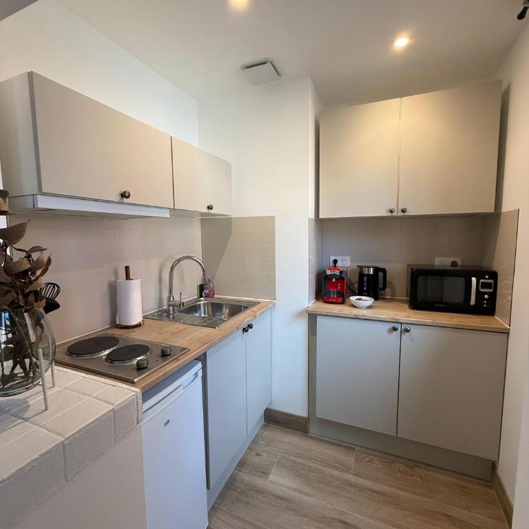 Studio au cœur de Lourdes - Monolocale con Divano-Letto - 8