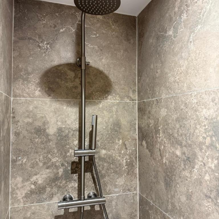 Studio au cœur de Lourdes - Monolocale con Divano-Letto - 18
