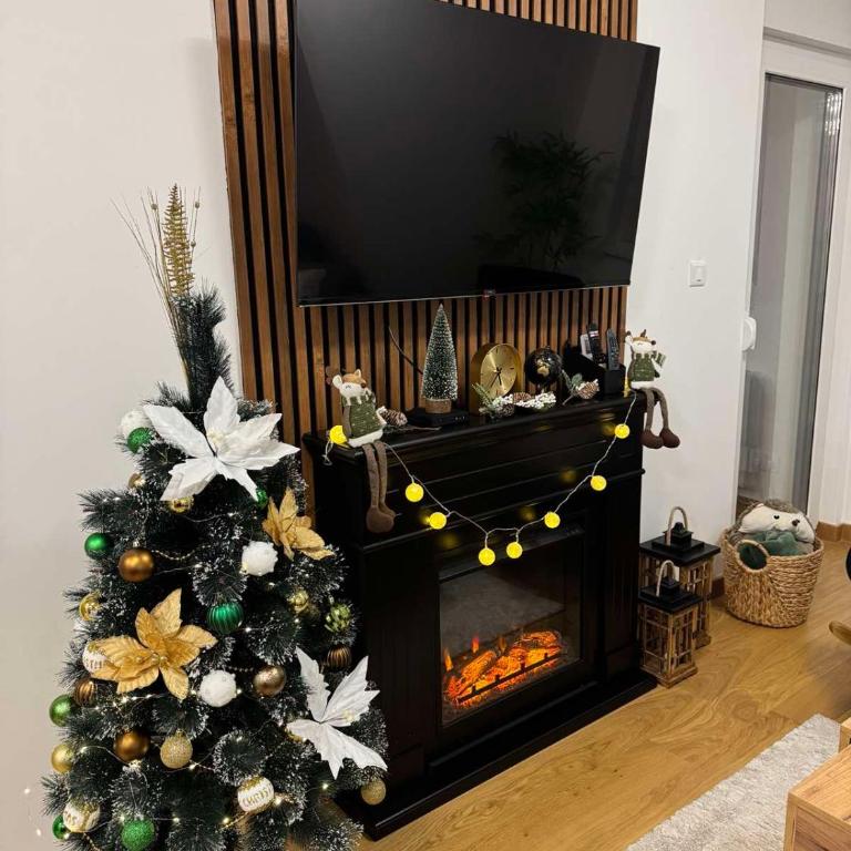 WOLF apartman - Apartman sa 1 Spavaćom Sobom - 24