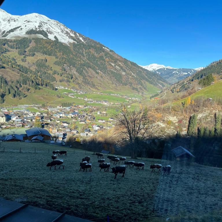 Langrieshof - Apartment mit Gartenblick - 40