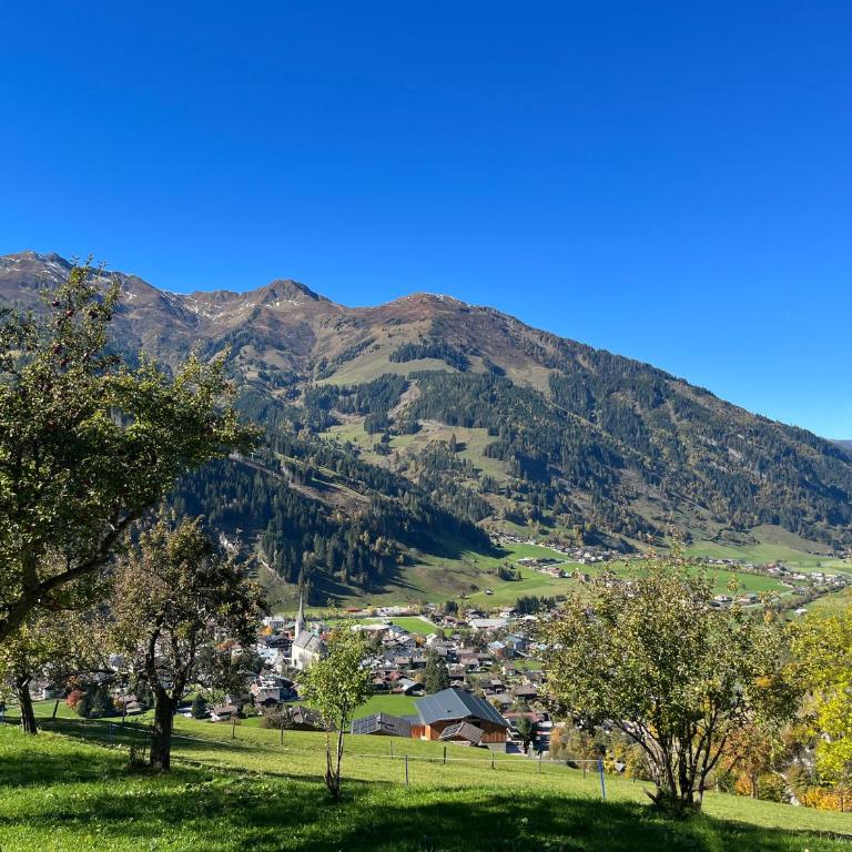 Langrieshof - Apartment mit Gartenblick - 39
