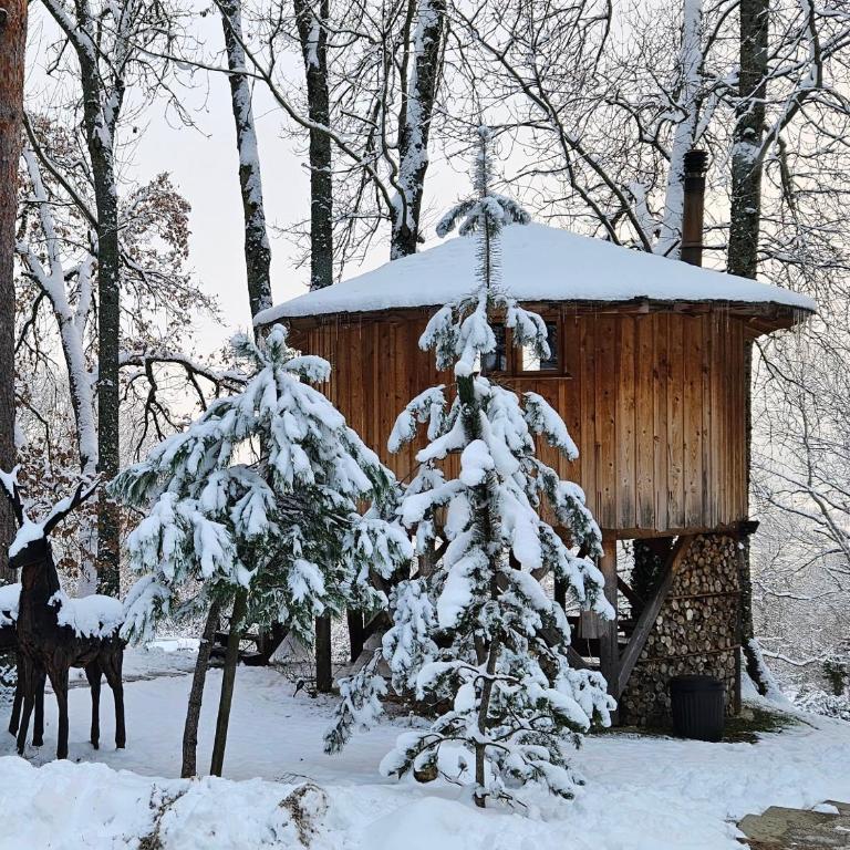Les Cabanes Du Saleve - Cabane dans les Arbres Les Pitons - 6